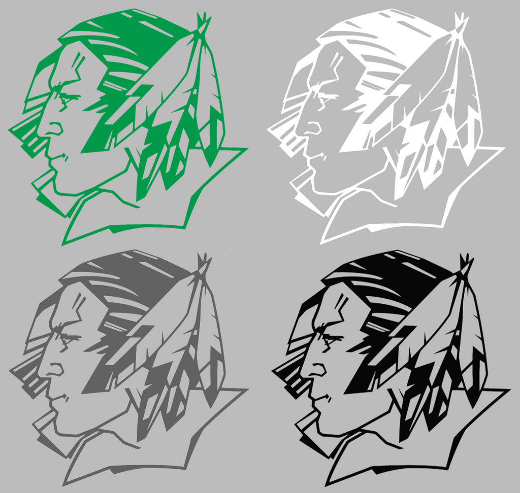 North Dakota Fighting Hawks Retro Throwback Logo Premium DieCut Vinyl Decal PICK COLOR & SIZE