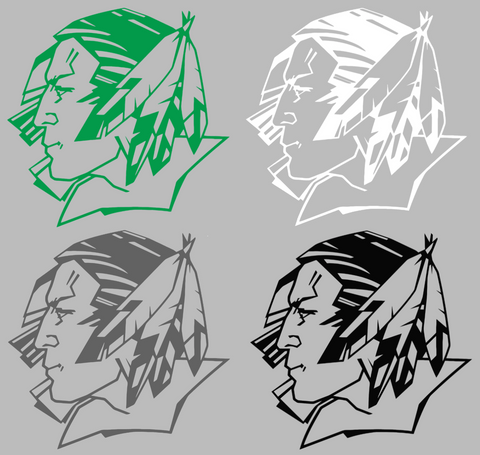 North Dakota Fighting Hawks Retro Throwback Logo Premium DieCut Vinyl Decal PICK COLOR & SIZE
