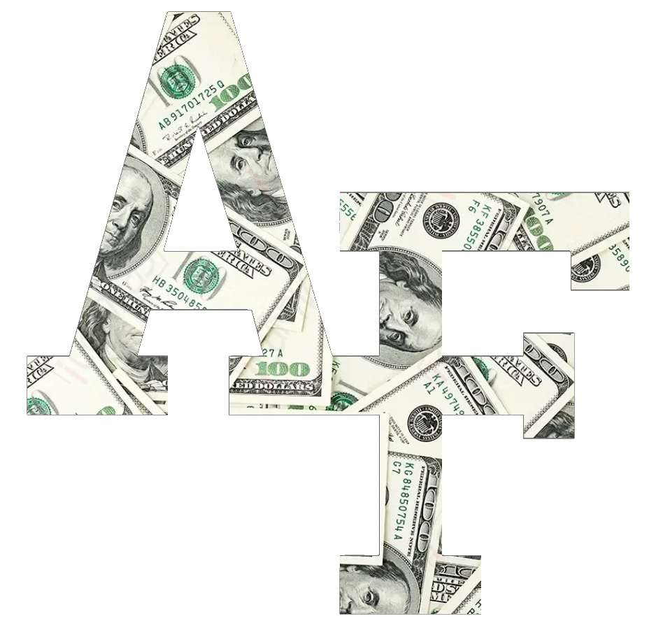 Air Force Falcons Team Logo Money Print Premium DieCut Vinyl Decal PICK SIZE