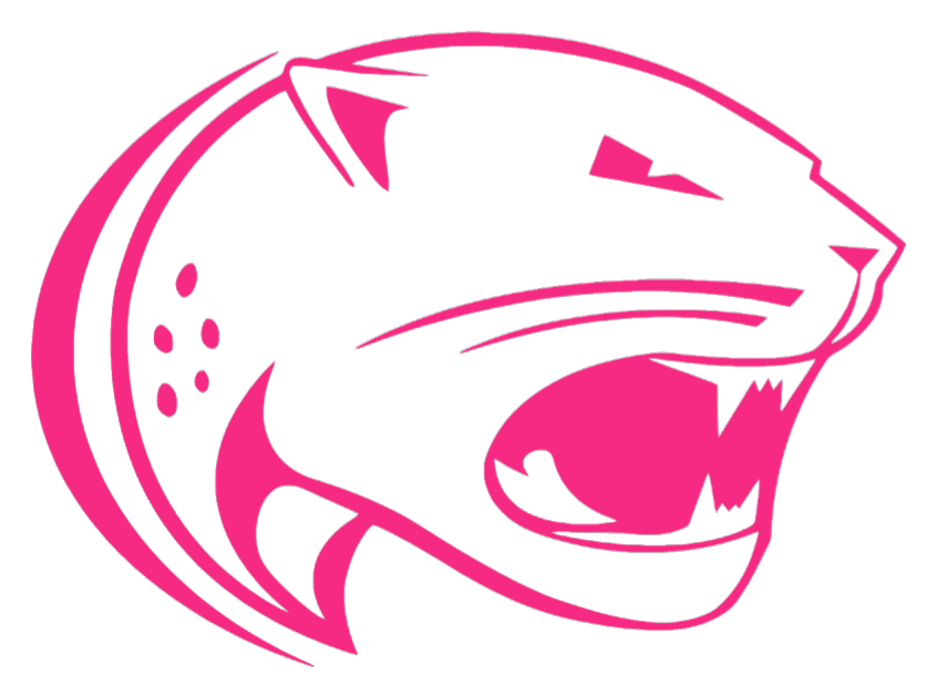 South Alabama Jaguars HOT PINK Team Logo Premium DieCut Vinyl Decal PICK SIZE