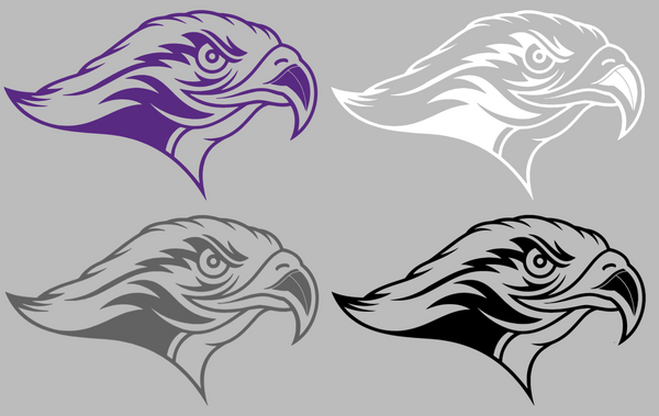 Stonehill Skyhawks Mascot Logo Premium DieCut Vinyl Decal PICK COLOR & SIZE