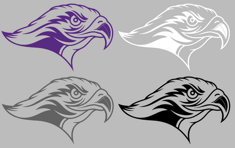 Stonehill Skyhawks Mascot Logo Premium DieCut Vinyl Decal PICK COLOR & SIZE