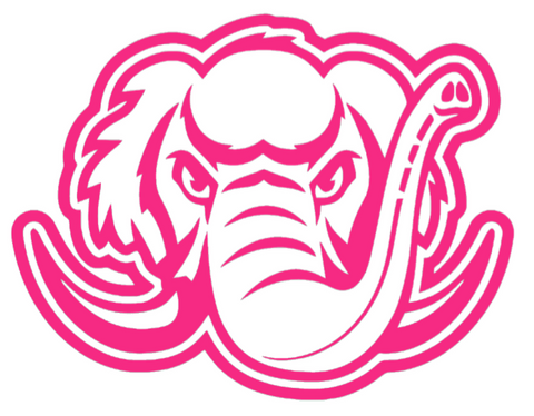 Purdue Fort Wayne Mastodons HOT PINK Team Logo Premium DieCut Vinyl Decal PICK SIZE