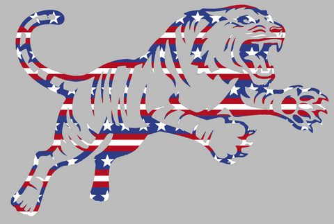 RIT Tigers Team Logo Stars & Stripes USA American Flag Vinyl Decal PICK SIZE