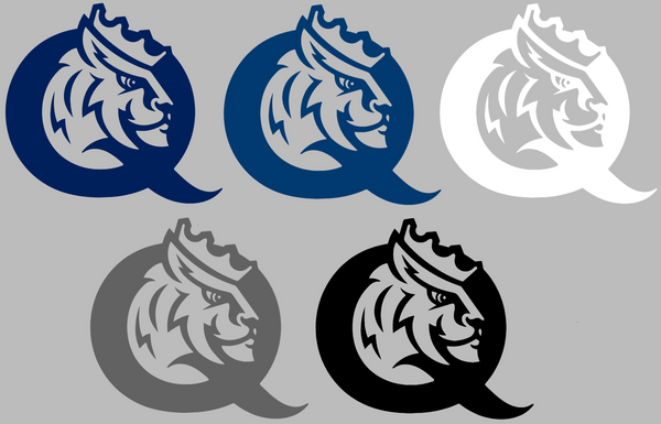 Queens Royals Team Logo Premium DieCut Vinyl Decal PICK COLOR & SIZE