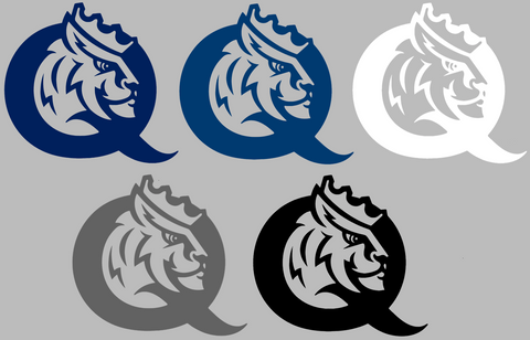 Queens Royals Team Logo Premium DieCut Vinyl Decal PICK COLOR & SIZE