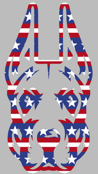 Albany Great Danes Team Logo Stars & Stripes USA American Flag Vinyl Decal PICK SIZE