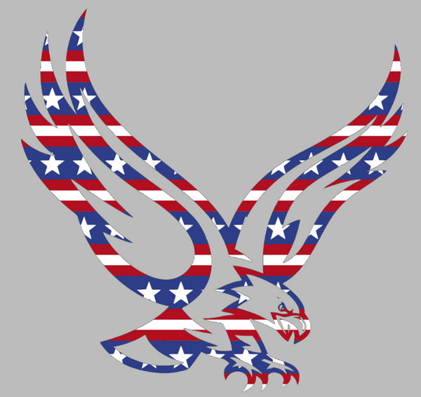 Boston College Eagles Mascot Logo Stars & Stripes USA American Flag Vinyl Decal PICK SIZE