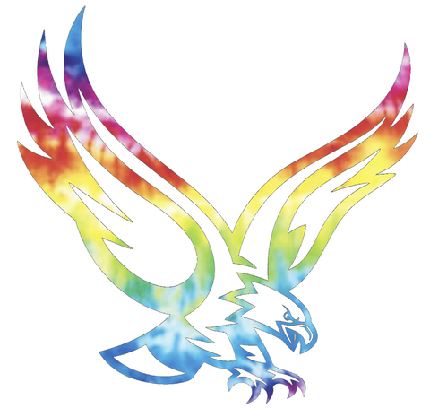 Boston College Eagles Mascot Logo Crucial Catch Cancer Tie Dye Vinyl Decal PICK SIZE