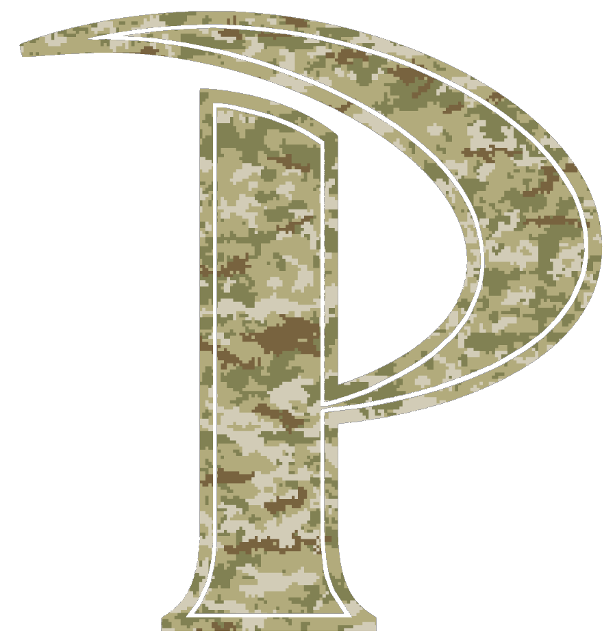 Pepperdine Waves P Logo Salute to Service Camouflage Camo Vinyl Decal PICK SIZE