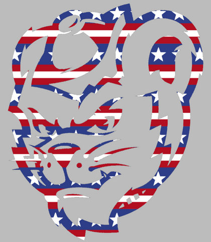 Sam Houston State Bearkats Mascot Logo Stars & Stripes USA American Flag Vinyl Decal PICK SIZE