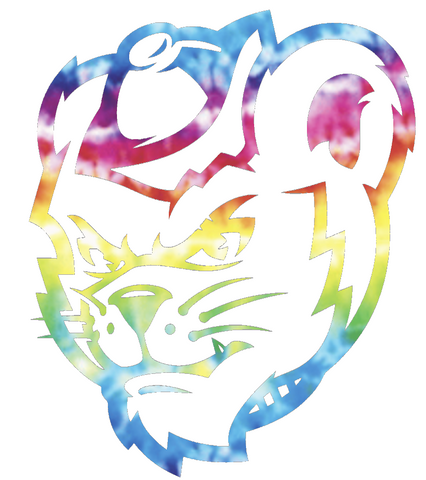 Sam Houston State Bearkats Mascot Logo Crucial Catch Cancer Tie Dye Vinyl Decal PICK SIZE