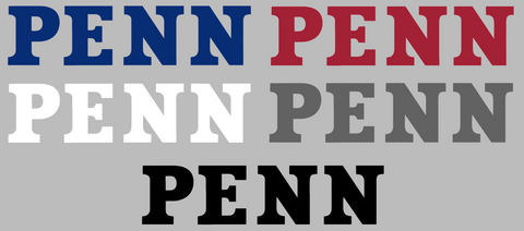 Penn Quakers Team Name Logo Premium DieCut Vinyl Decal PICK COLOR & SIZE