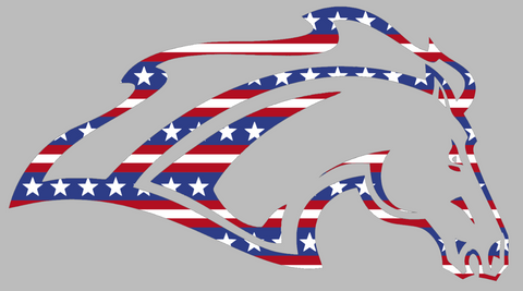 Alabama Huntsville Chargers Team Logo Stars & Stripes USA American Flag Vinyl Decal PICK SIZE