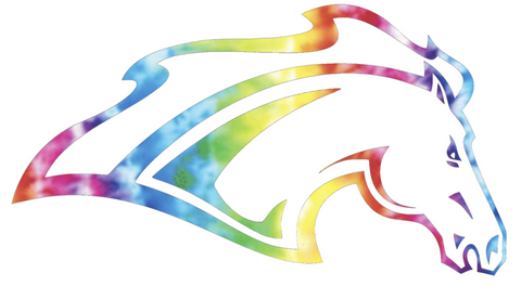 Alabama Huntsville Chargers Team Logo Crucial Catch Cancer Tie Dye Vinyl Decal PICK SIZE