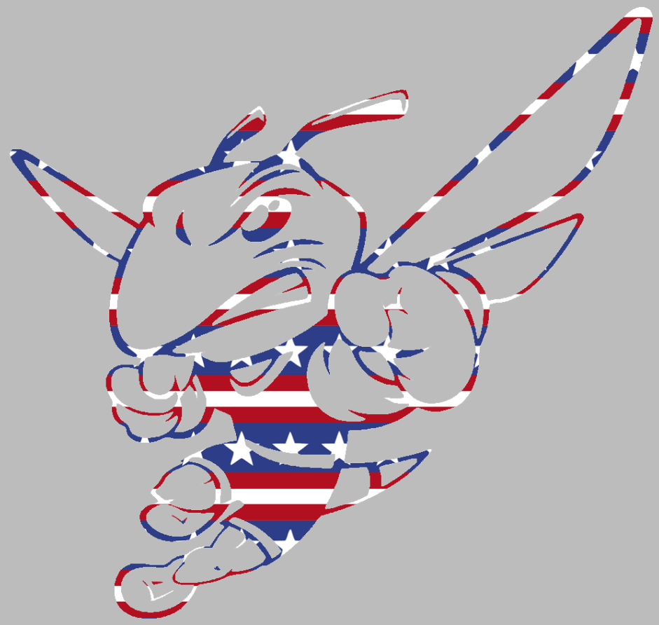 AIC Yellow Jackets Team Logo Stars & Stripes USA American Flag Vinyl Decal PICK SIZE