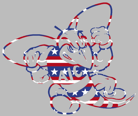 AIC Yellow Jackets Retro Throwback Logo Stars & Stripes USA American Flag Vinyl Decal PICK SIZE