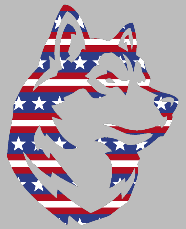Northeastern Huskies Team Logo Stars & Stripes USA American Flag Vinyl Decal PICK SIZE
