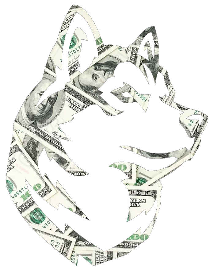 Northeastern Huskies Team Logo Money Print Premium DieCut Vinyl Decal PICK SIZE