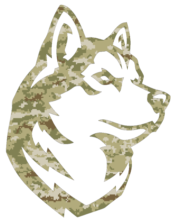 Northeastern Huskies Team Logo Salute to Service Camouflage Camo Vinyl Decal PICK SIZE