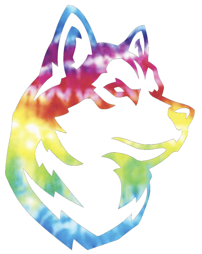Northeastern Huskies Logo Crucial Catch Cancer Tie Dye Vinyl Decal PICK SIZE
