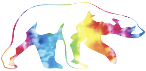 Alaska Nanooks Mascot Logo Crucial Catch Cancer Tie Dye Vinyl Decal PICK SIZE