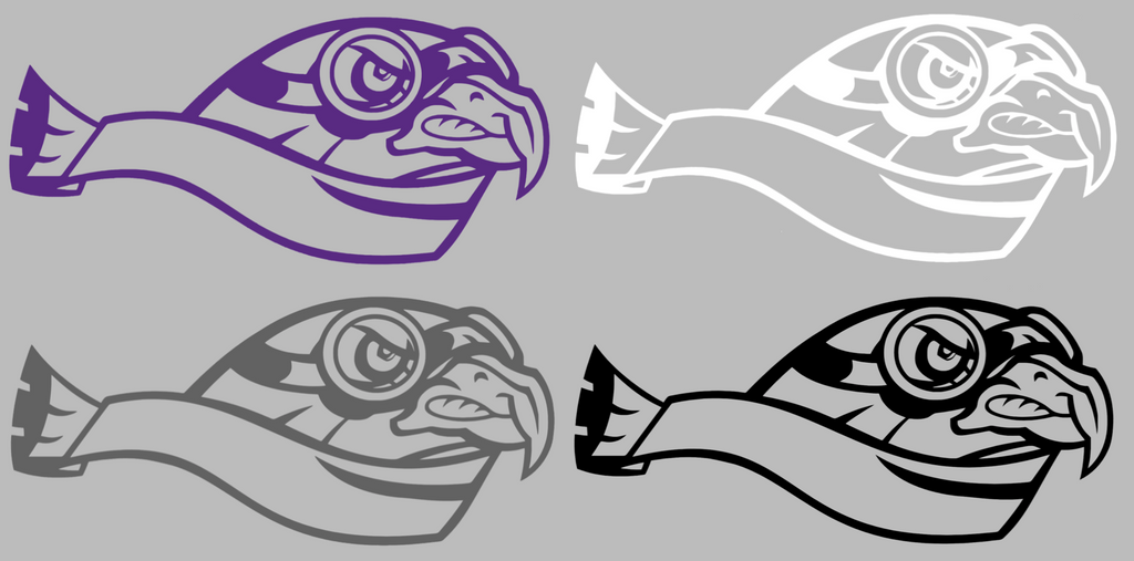 Stonehill Skyhawks Retro Throwback Logo Premium DieCut Vinyl Decal PICK COLOR & SIZE