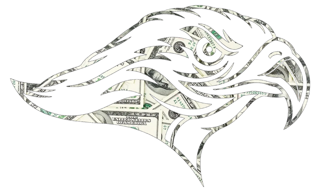 Stonehill Skyhawks Mascot Logo Money Print Premium DieCut Vinyl Decal PICK SIZE