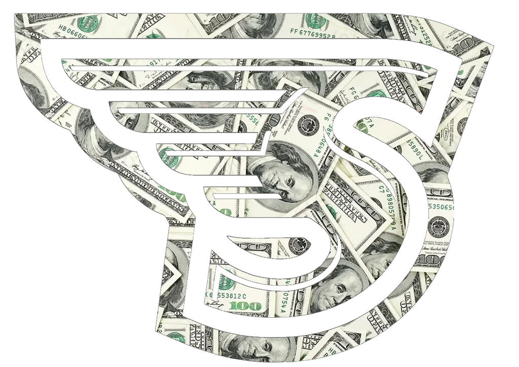 Stonehill Skyhawks Team Logo Money Print Premium DieCut Vinyl Decal PICK SIZE