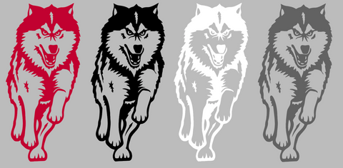 Northern Illinois Huskies Retro Throwback Logo Premium DieCut Vinyl Decal PICK COLOR & SIZE