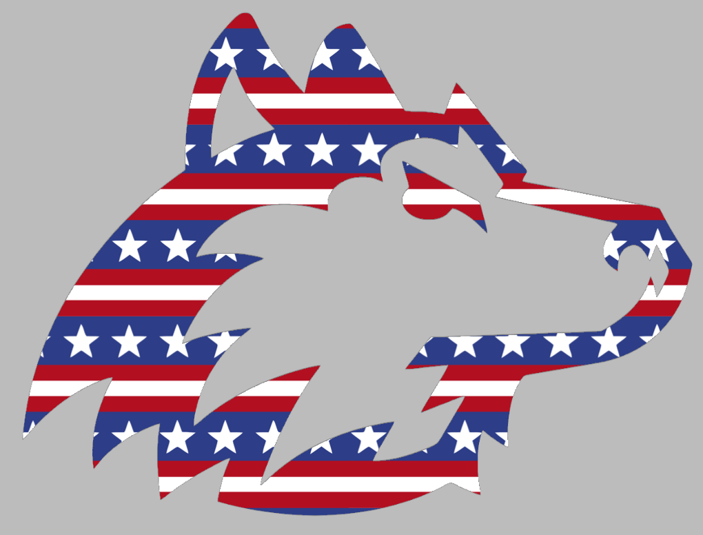 Northern Illinois Huskies Team Logo Stars & Stripes USA American Flag Vinyl Decal PICK SIZE