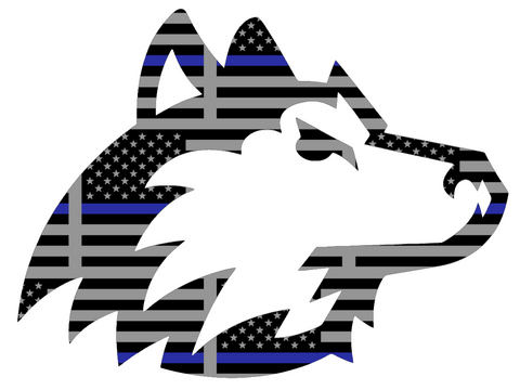 Northern Illinois Huskies Team Logo Thin Blue Line American Flag Premium DieCut Vinyl Decal PICK SIZE