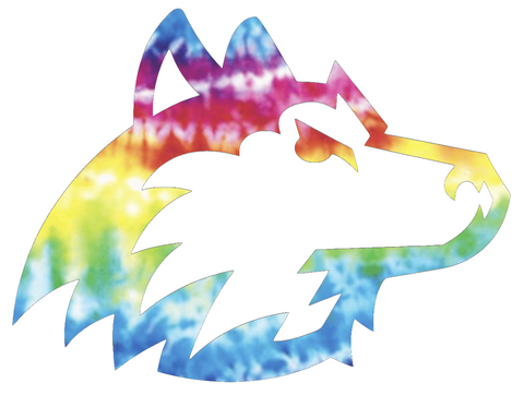 Northern Illinois Huskies Team Logo Crucial Catch Cancer Tie Dye Vinyl Decal PICK SIZE