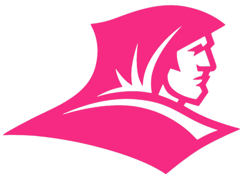 Providence Friars HOT PINK Team Logo Premium DieCut Vinyl Decal PICK SIZE