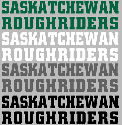 Saskatchewan Roughriders Team Name Logo Premium DieCut Vinyl Decal PICK COLOR & SIZE