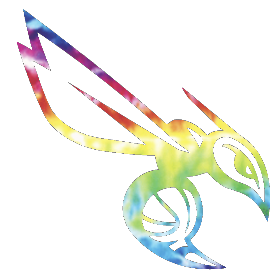 Charlotte Hornets Alternate Logo Crucial Catch Cancer Tie Dye Vinyl Decal PICK SIZE