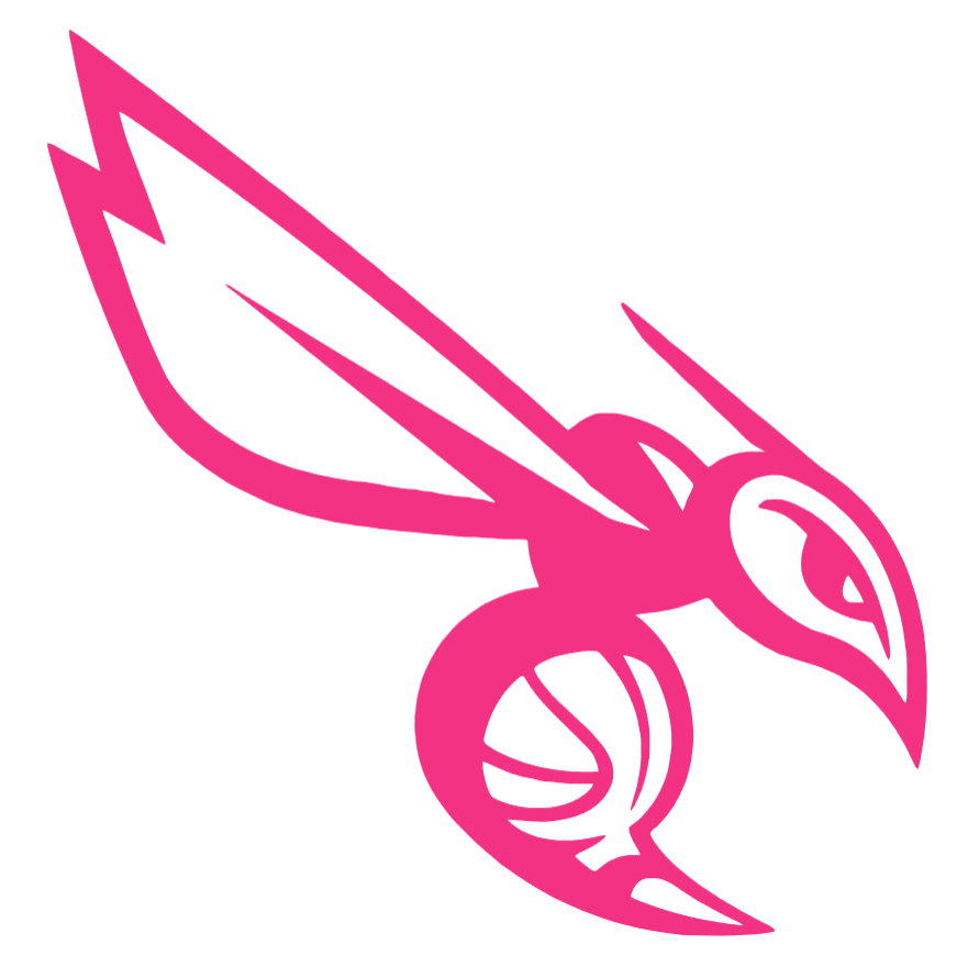 Charlotte Hornets HOT PINK Alternate Logo Premium DieCut Vinyl Decal PICK SIZE