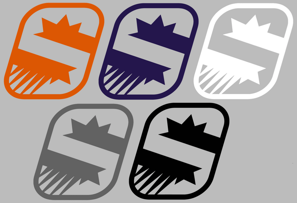 Phoenix Suns Alternate Logo Premium DieCut Vinyl Decal PICK COLOR & SIZE