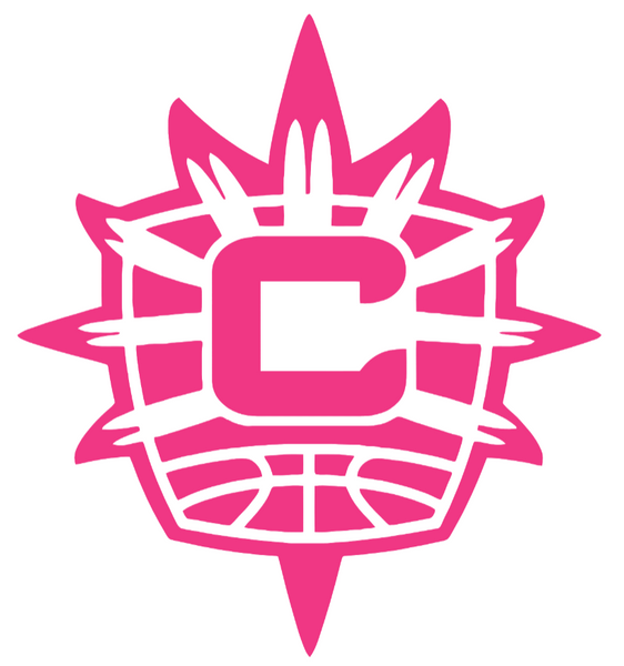 Connecticut Sun HOT PINK Team Logo Premium DieCut Vinyl Decal PICK SIZE