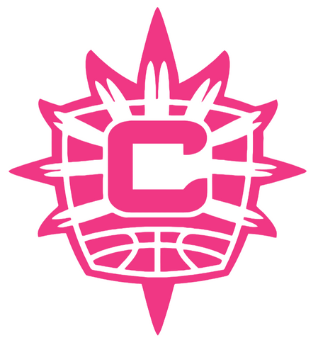 Connecticut Sun HOT PINK Team Logo Premium DieCut Vinyl Decal PICK SIZE