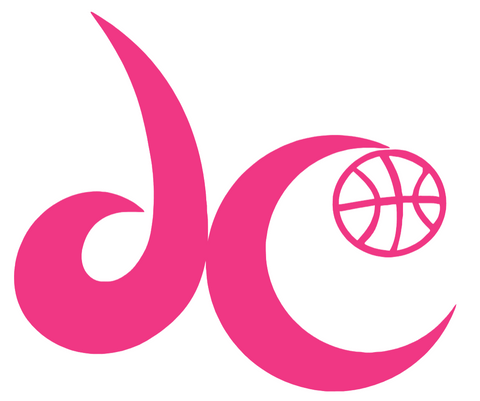 Washington Mystics HOT PINK Alternate Logo Premium DieCut Vinyl Decal PICK SIZE