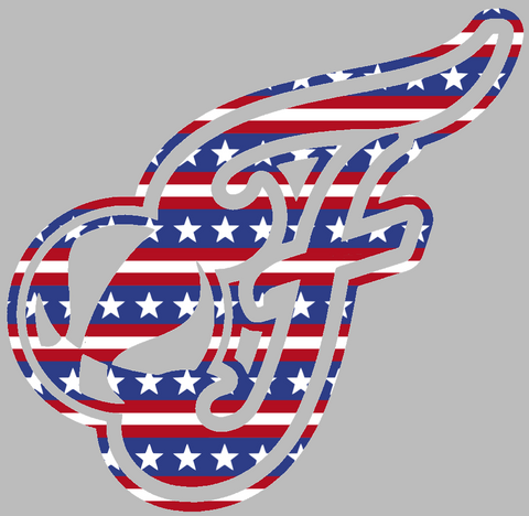 Indiana Fever Alternate Logo Stars & Stripes USA American Flag Vinyl Decal PICK SIZE