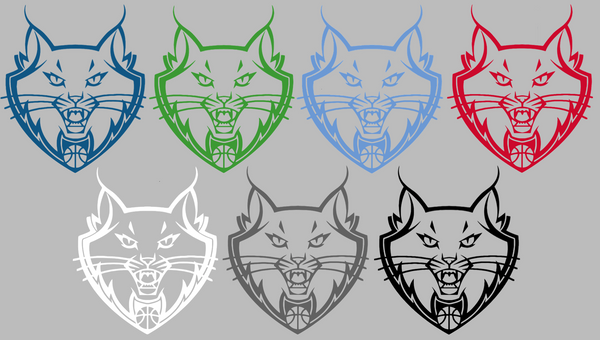 Minnesota Lynx Retro Throwback Logo Premium DieCut Vinyl Decal PICK COLOR & SIZE