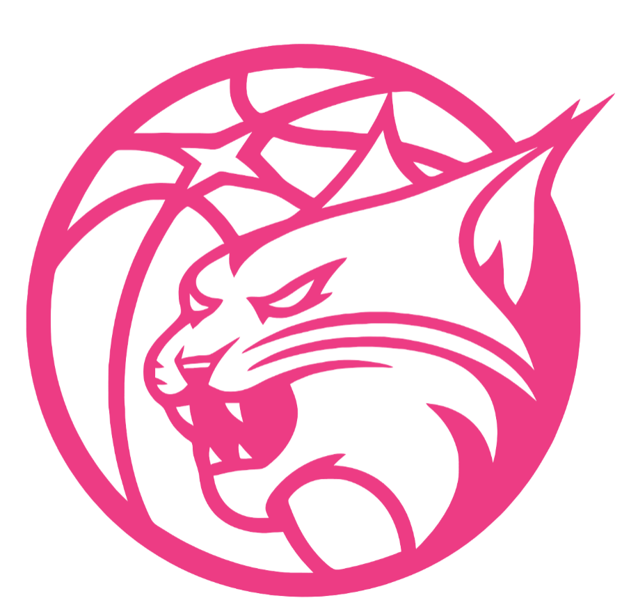 Minnesota Lynx HOT PINK Team Logo Premium DieCut Vinyl Decal PICK SIZE