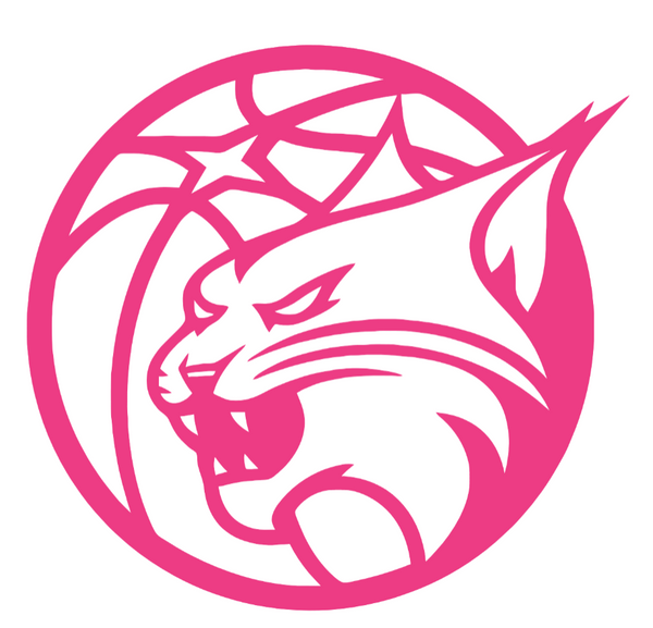 Minnesota Lynx HOT PINK Team Logo Premium DieCut Vinyl Decal PICK SIZE