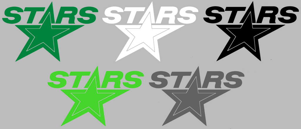 Dallas Stars Alternate Logo Premium DieCut Vinyl Decal PICK COLOR & SIZE