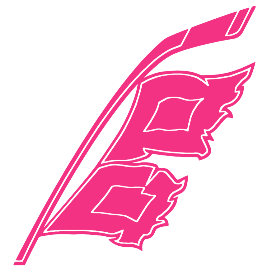 Carolina Hurricanes HOT PINK Alternate Logo Premium DieCut Vinyl Decal PICK SIZE