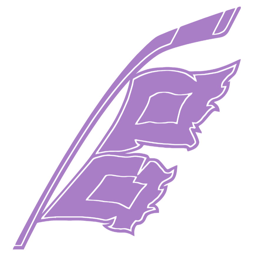 Carolina Hurricanes PURPLE CANCER AWARENESS Alternate Logo Premium DieCut Vinyl Decal PICK SIZE