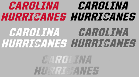 Carolina Hurricanes Team Name Logo Premium DieCut Vinyl Decal PICK COLOR & SIZE