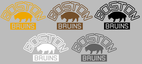 Boston Bruins Retro Throwback Logo Premium DieCut Vinyl Decal PICK COLOR & SIZE